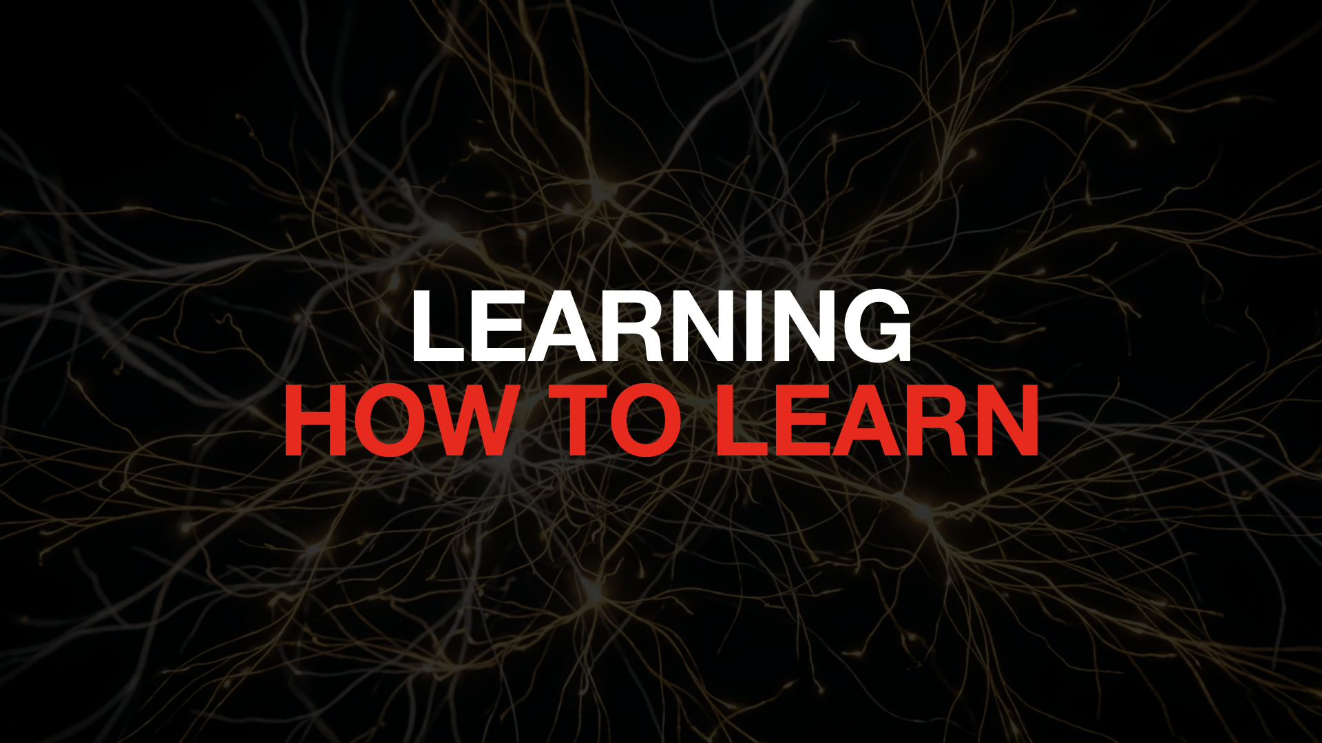 Learning How to Learn
